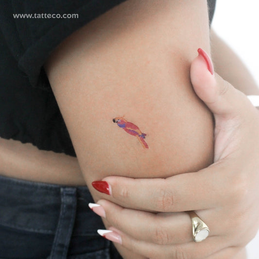 Parrot Temporary Tattoo - Set of 3
