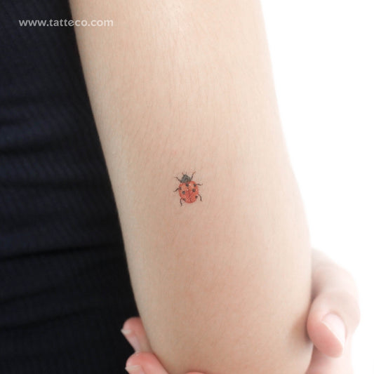 Tatuaje temporal de mariquita - Juego de 3