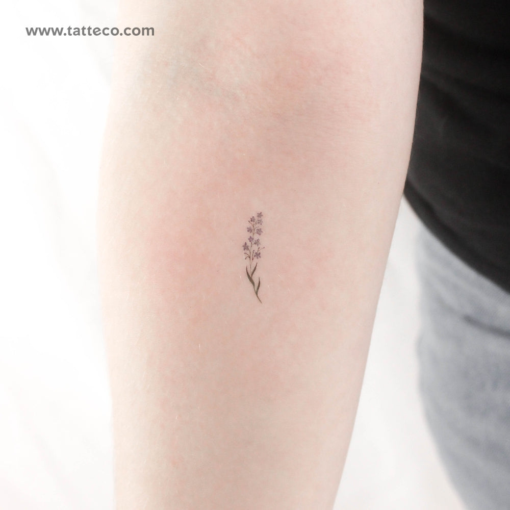 Little Watercolor Forget-me-not Temporary Tattoo - Set of 3