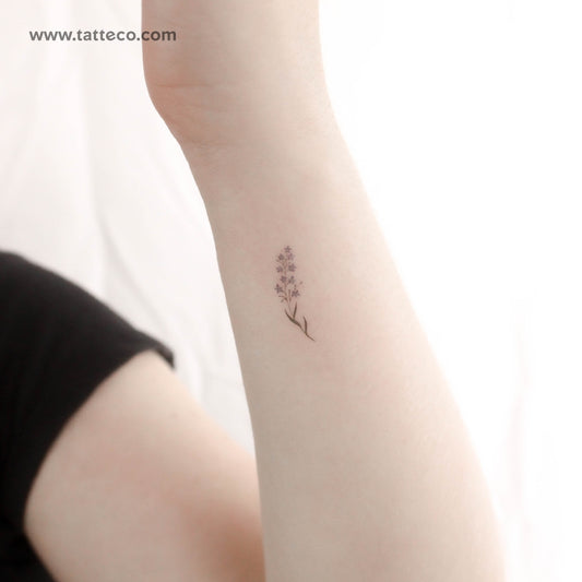 Tatuaje temporal de nomeolvides en acuarela (juego de 3)