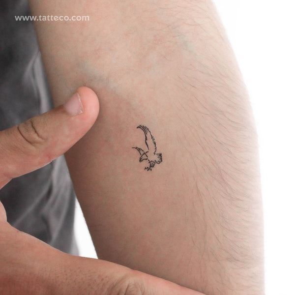 Little Bald Eagle Temporary Tattoo - Set of 3