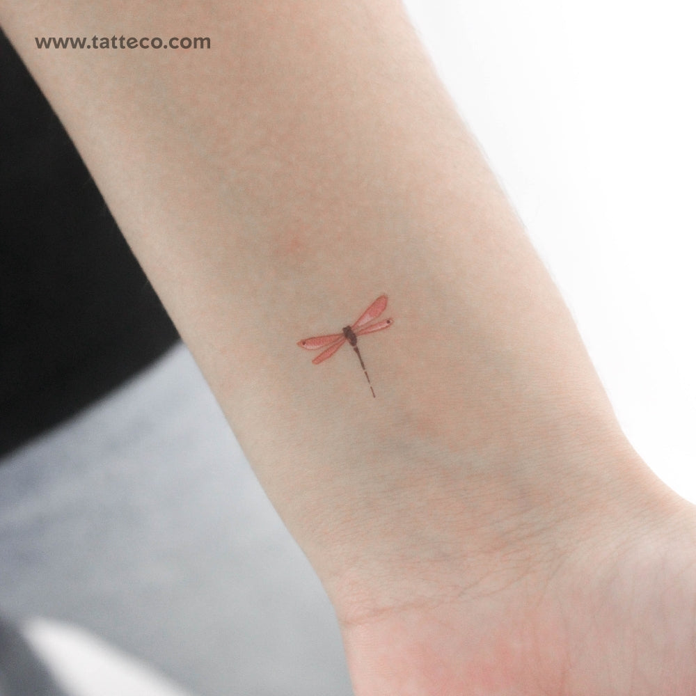 Tatuaje temporal de libélula roja en acuarela (juego de 3)