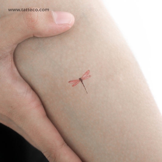 Tatuaje temporal de libélula roja en acuarela (juego de 3)
