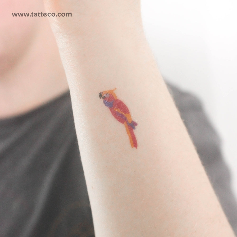 Parrot Temporary Tattoo - Set of 3