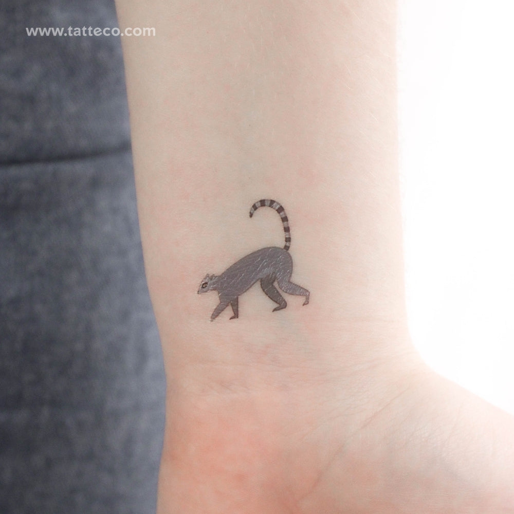 Tatuaje temporal de lémur - Juego de 3