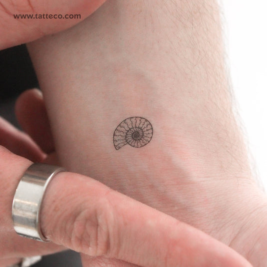 Tatuaje temporal de amonita - Juego de 3