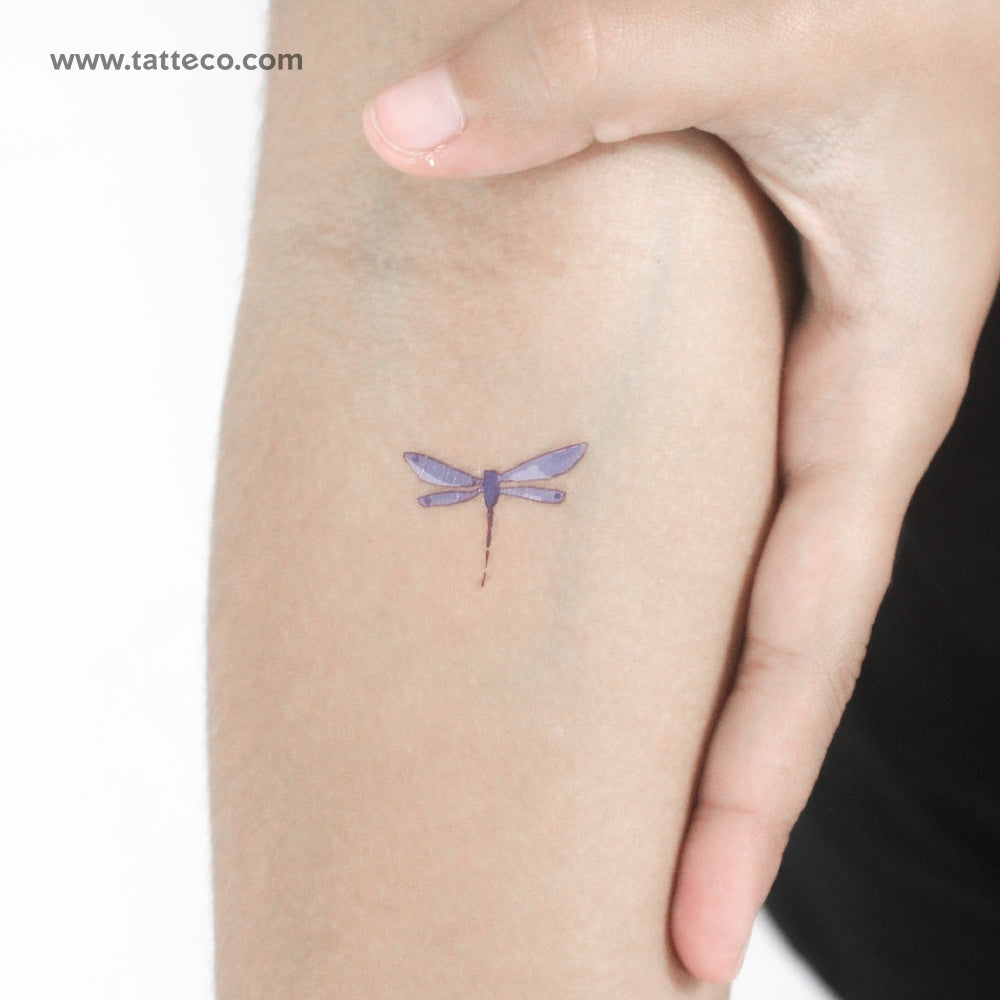 Tatuaje temporal de libélula azul en acuarela (juego de 3)