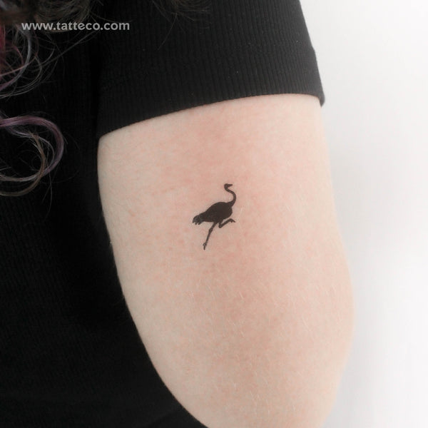 Ostrich Temporary Tattoo - Set of 3