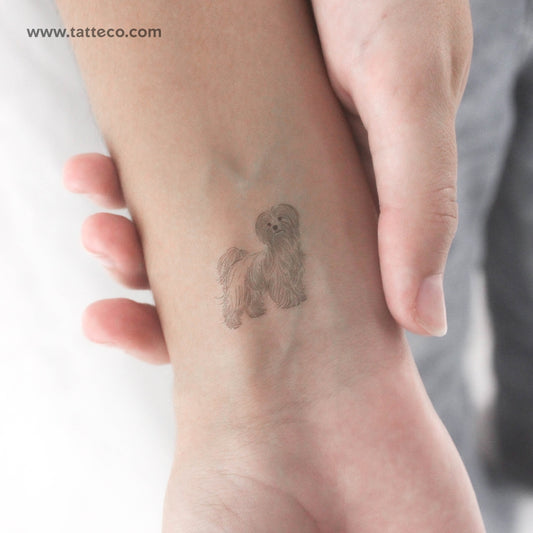 Tatuaje temporal pequeño de maltés (juego de 3)