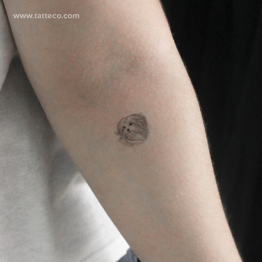 Tatuaje temporal de retrato maltés (juego de 3)