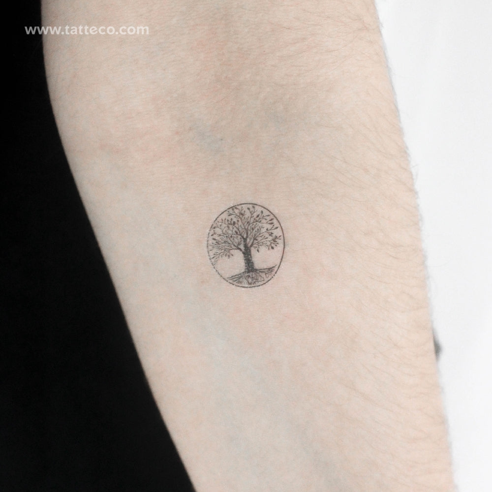 Tatuaje temporal pequeño del árbol de la vida (juego de 3)