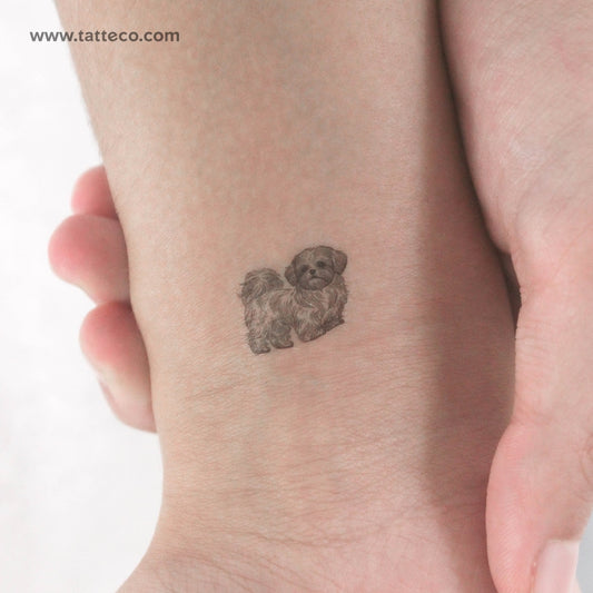 Tatuaje temporal pequeño de Shih Tzu (juego de 3)