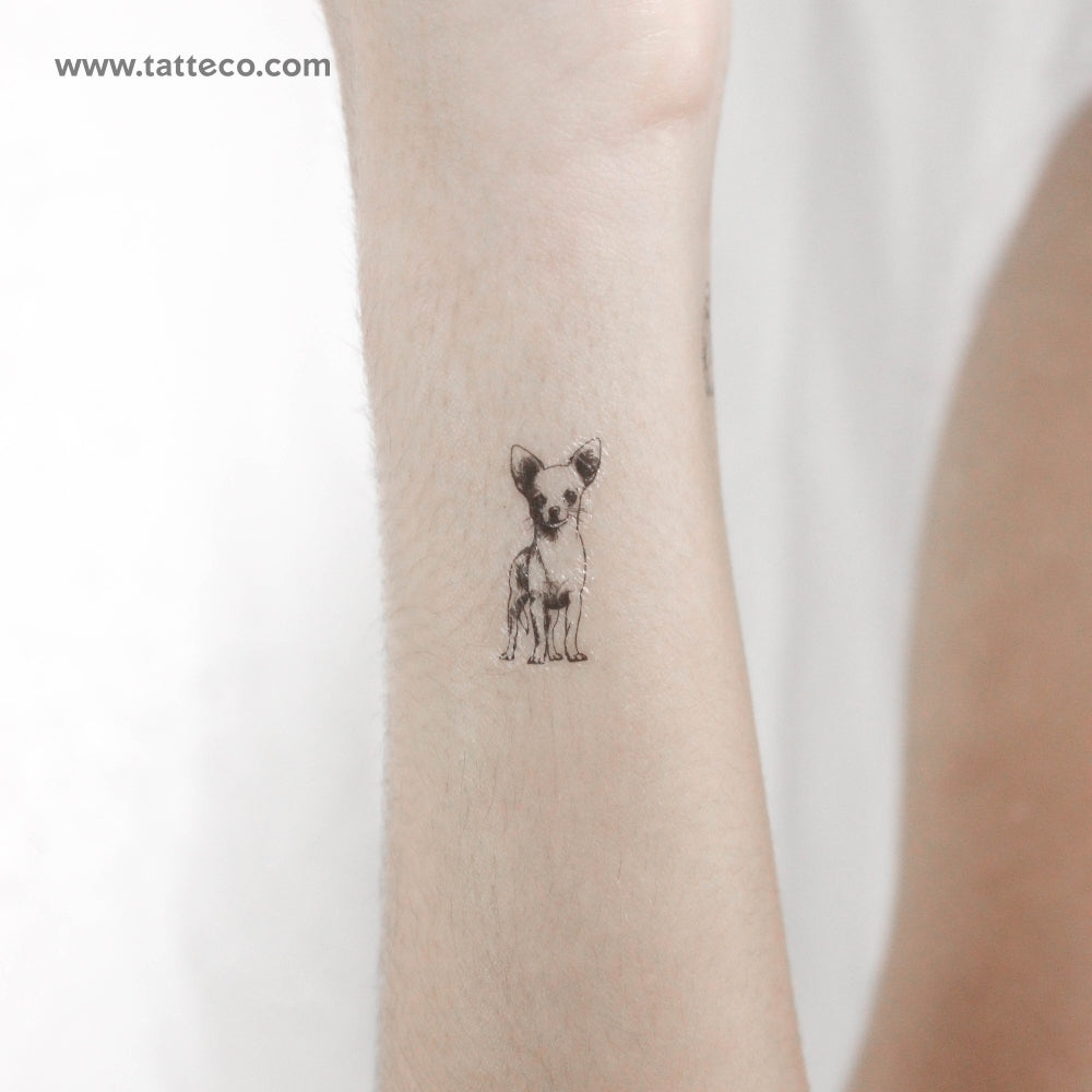 Tatuaje temporal de chihuahua pequeño - Juego de 3