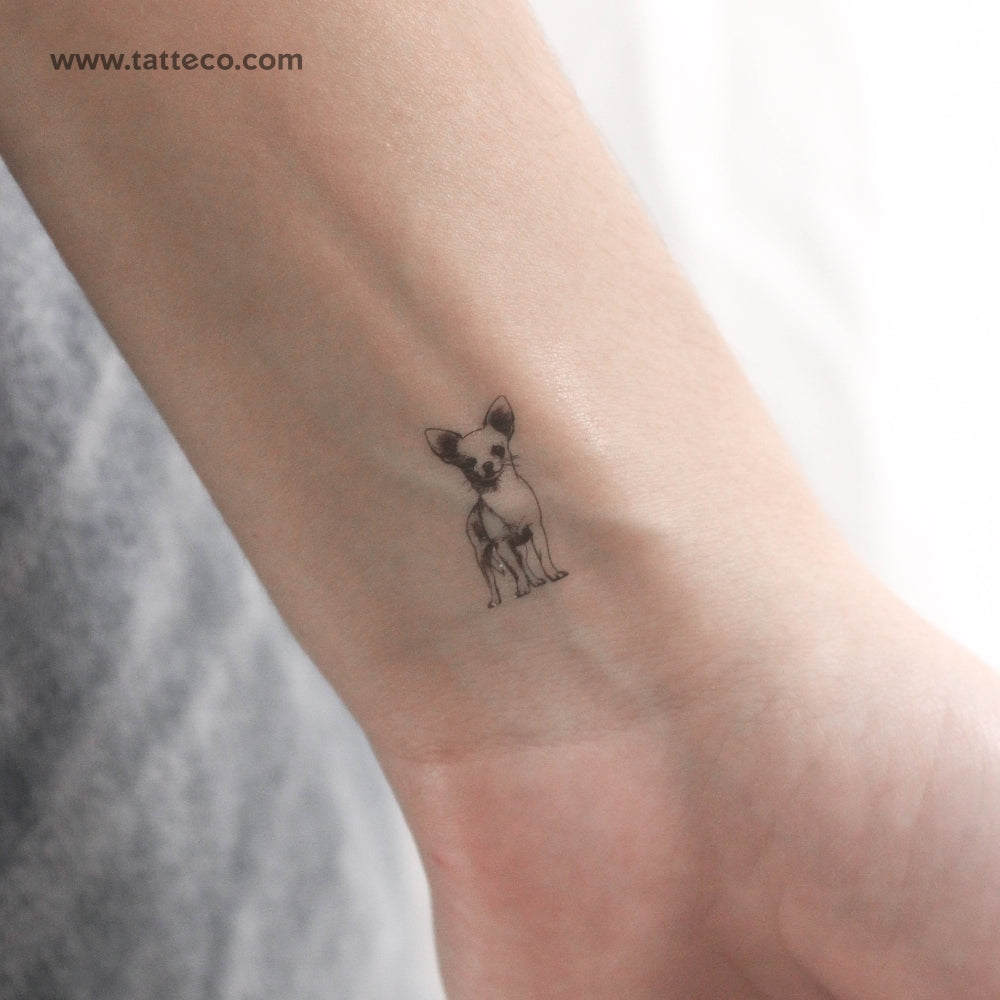 Tatuaje temporal de chihuahua pequeño - Juego de 3