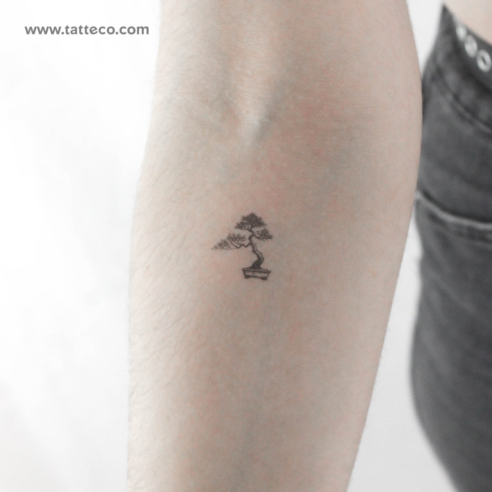 Bonsai Temporary Tattoo - Set of 3