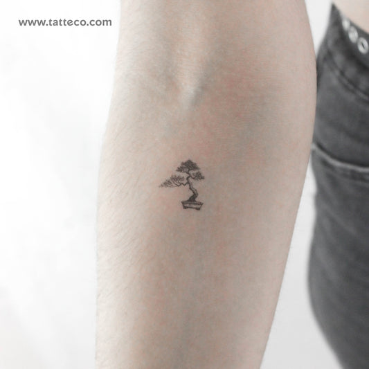 Tatuaje temporal de bonsái - Juego de 3