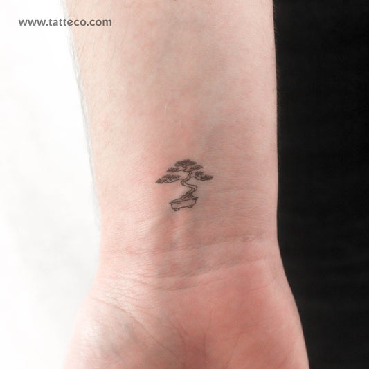Tatuaje temporal de pequeño bonsái - Juego de 3