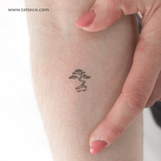 Tatuaje temporal de pequeño bonsái - Juego de 3