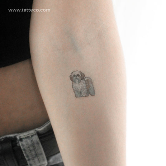 Tatuaje temporal de Shih Tzu - Juego de 3