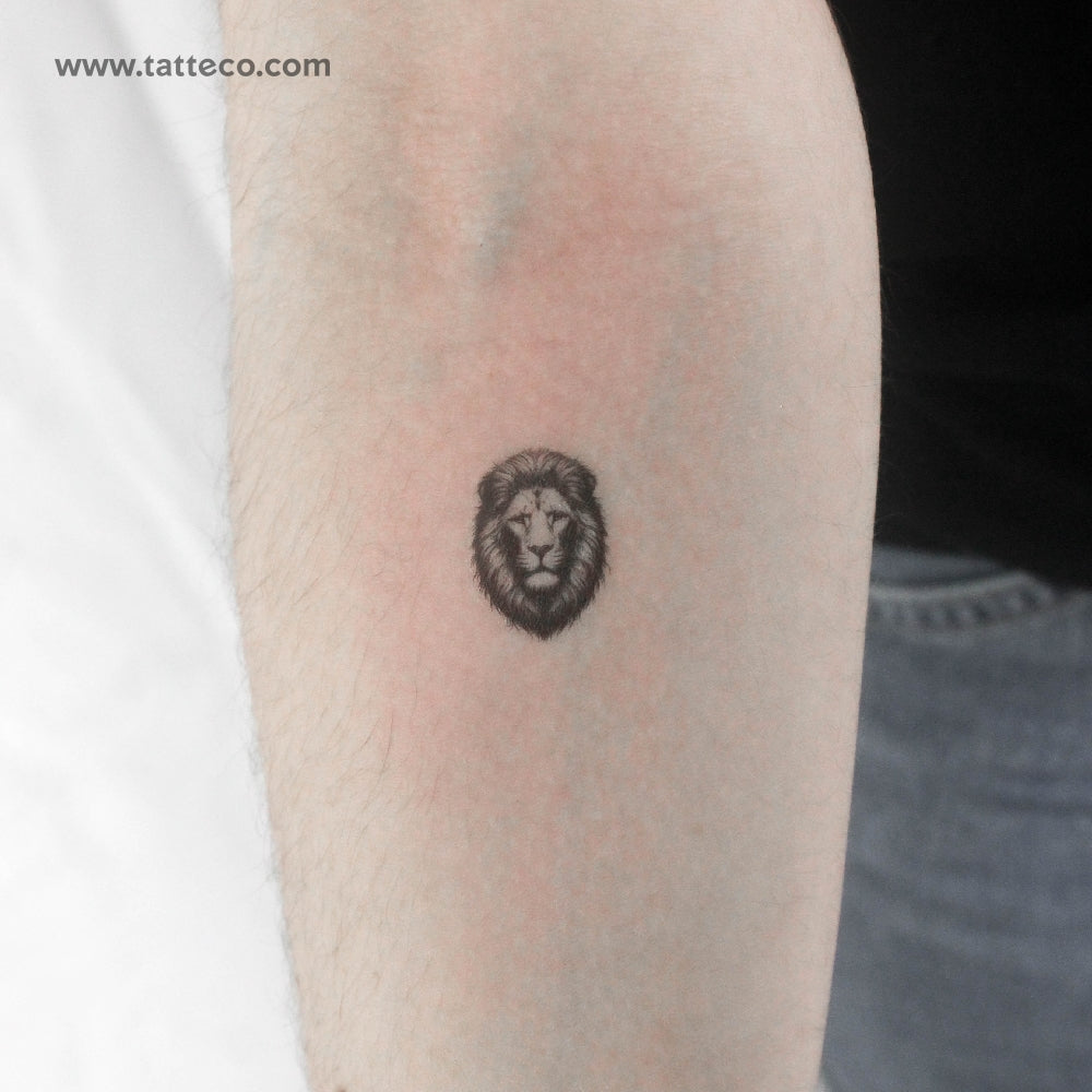 Small Black And Grey Lion Portrait Temporary Tattoo - Set of 3