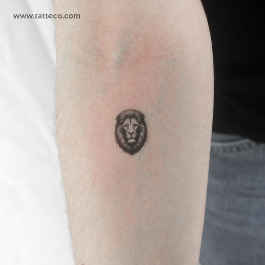 Tatuaje temporal pequeño de león negro y gris (juego de 3)