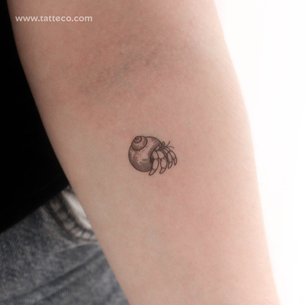 Tatuaje temporal de cangrejo ermitaño (juego de 3)