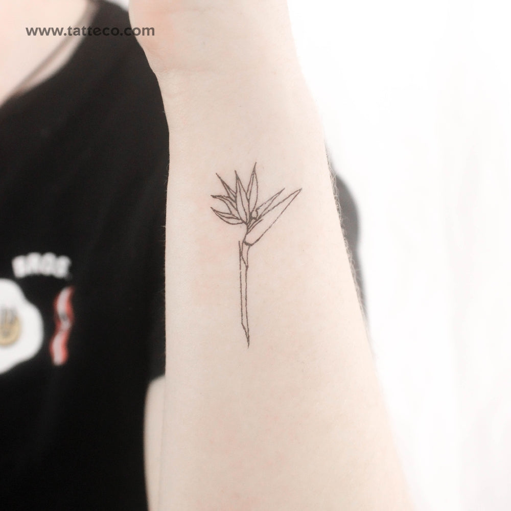 Fine Line Bird Of Paradise Temporary Tattoo - Set of 3