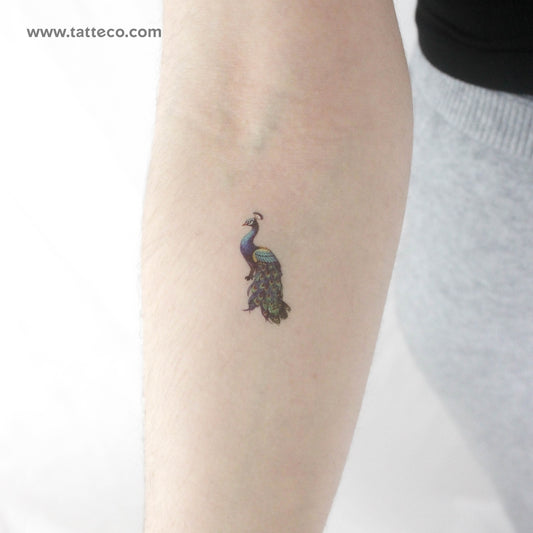Tatuaje temporal de pavo real - Juego de 3