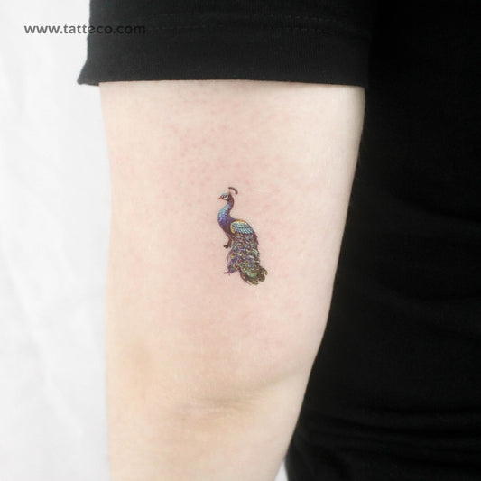 Tatuaje temporal de pavo real - Juego de 3