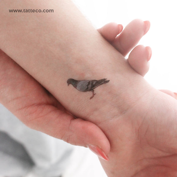 Rock Dove Temporary Tattoo - Set of 3