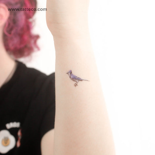 Blue Jay Temporary Tattoo - Set of 3