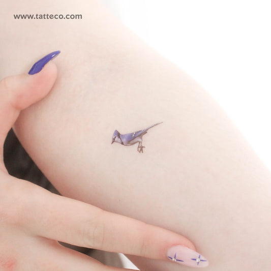 Blue Jay Temporary Tattoo - Set of 3