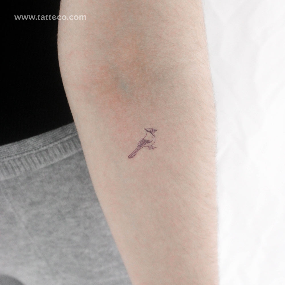 Little Blue Jay Temporary Tattoo - Set of 3