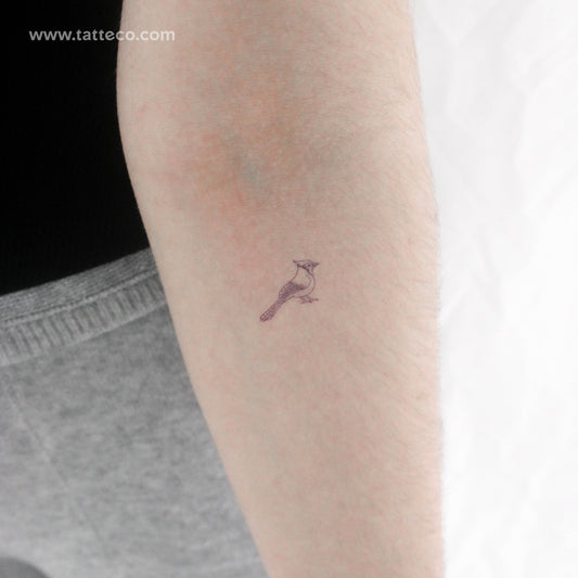 Little Blue Jay Temporary Tattoo - Set of 3