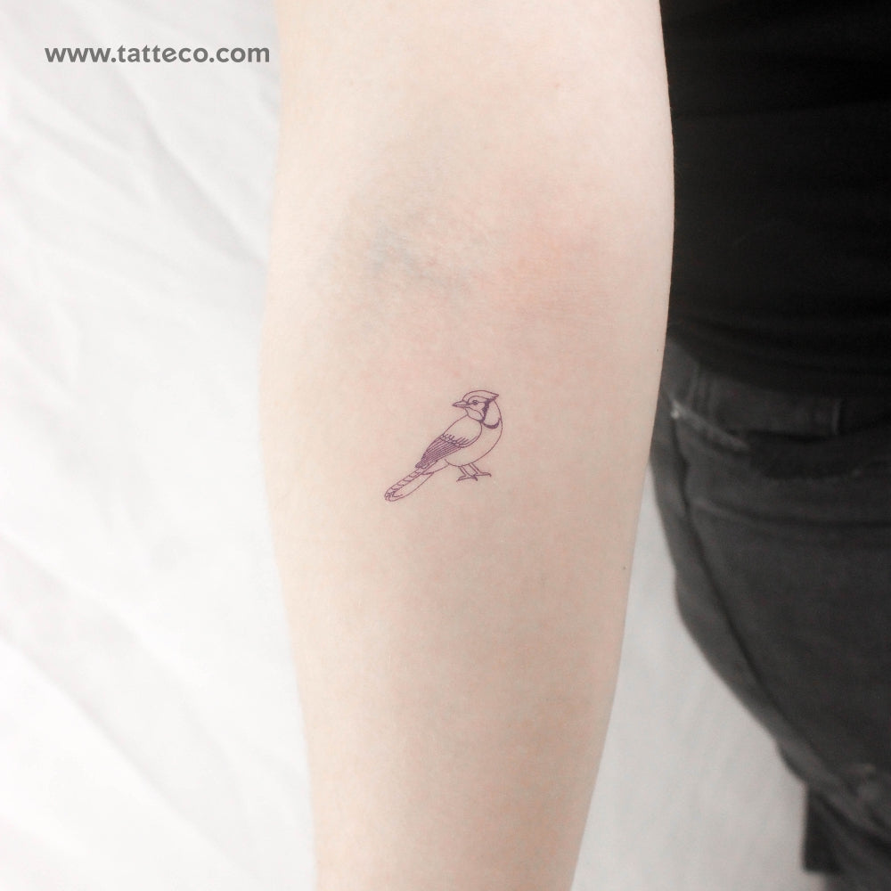 Blue Ink Blue Jay Temporary Tattoo - Set of 3