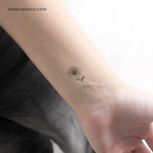 Tatuaje temporal de margarita pequeña - Juego de 3
