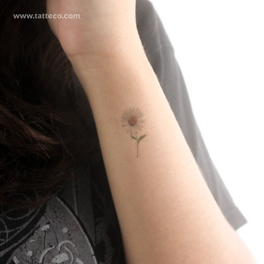 Tatuaje temporal de margarita pequeña - Juego de 3