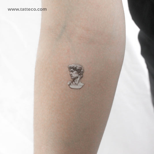 Tatuaje temporal de la cabeza de David de Miguel Ángel (juego de 3)