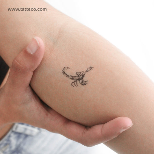 Tatuaje temporal de escorpión - Juego de 3