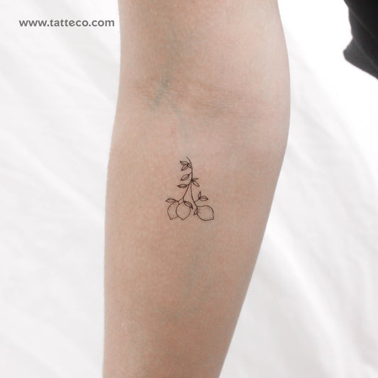 Tatuaje temporal de rama de limón pequeña (juego de 3)