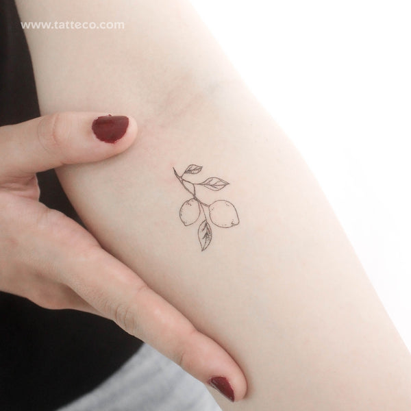 Lemon Branch Temporary Tattoo - Set of 3