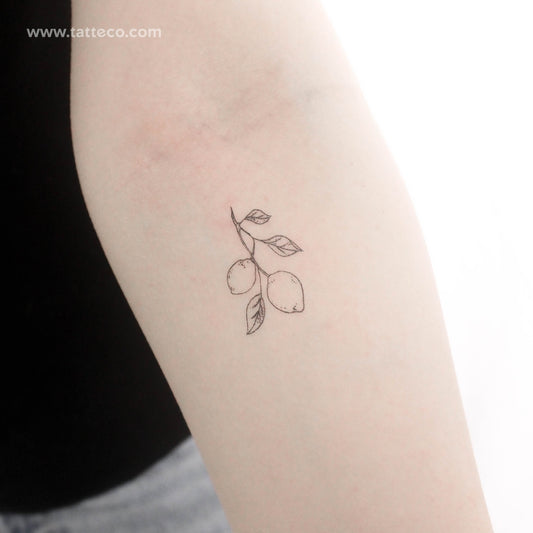 Tatuaje temporal de rama de limón - Juego de 3