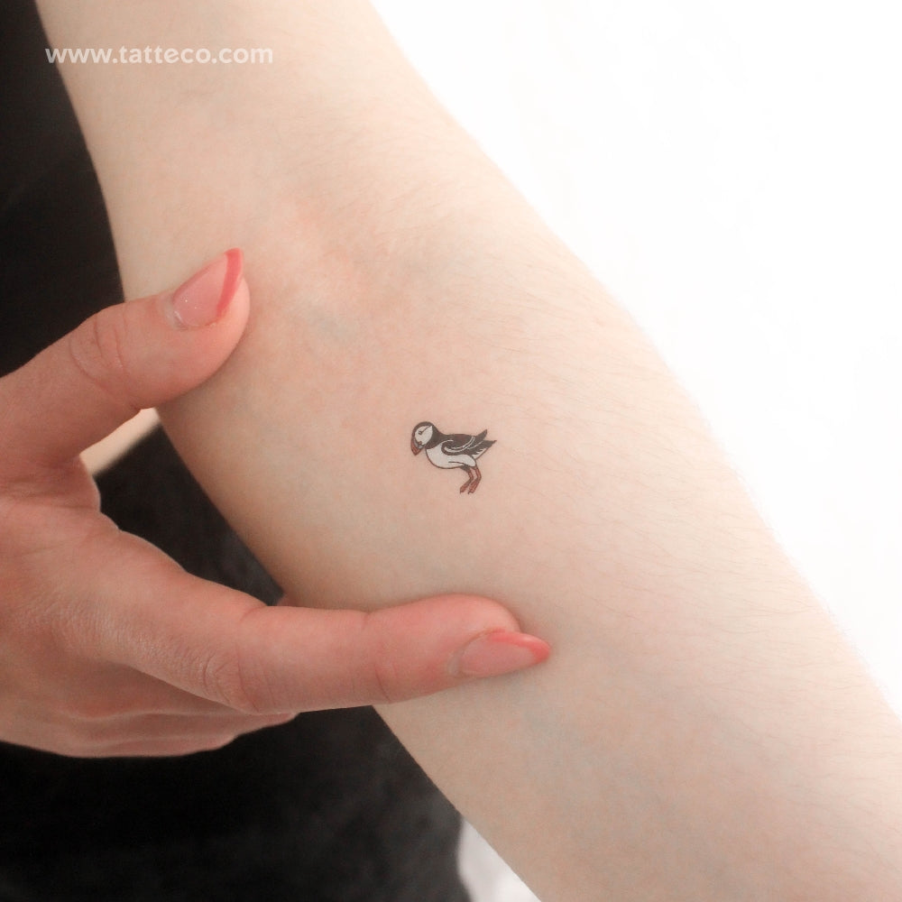 Little Puffin Temporary Tattoo - Set of 3