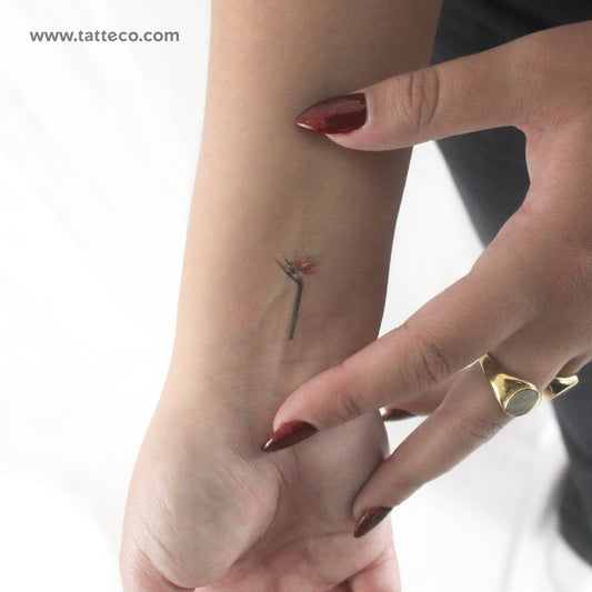 Tatuaje temporal pequeño de ave del paraíso en acuarela (juego de 3)