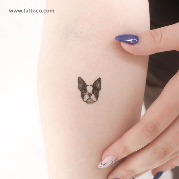 Boston Terrier Portrait Temporary Tattoo - Set of 3