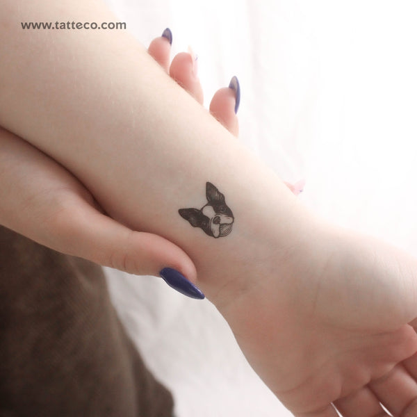 Boston Terrier Portrait Temporary Tattoo - Set of 3