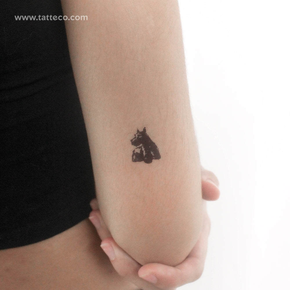Tatuaje temporal de Scottie - Juego de 3