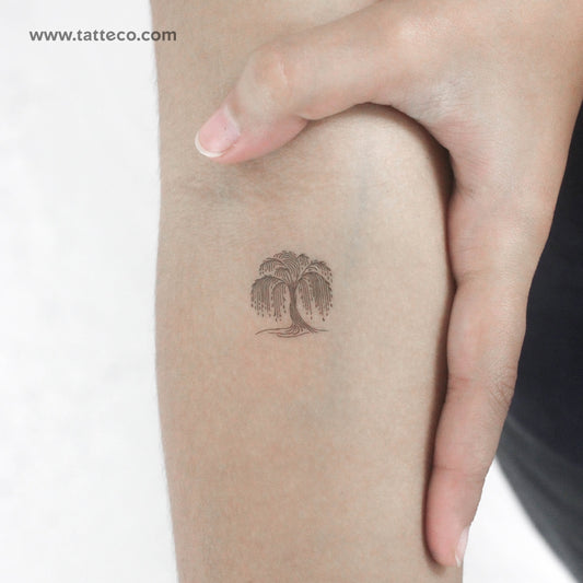 Tatuaje temporal minimalista de sauce llorón (juego de 3)