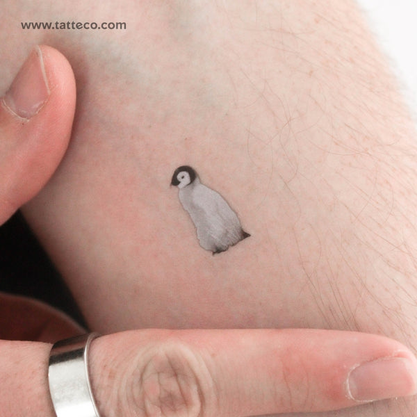 Baby Penguin Temporary Tattoo - Set of 3