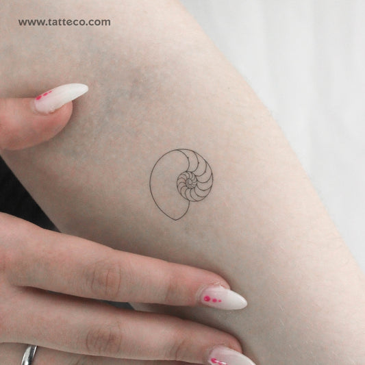Tatuaje temporal de concha de nautilus - Juego de 3